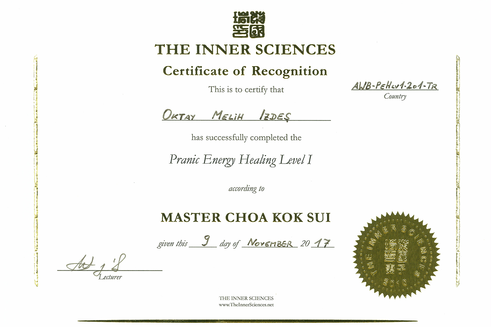 Pranic Energy Healing - Level 1 Sertifikası